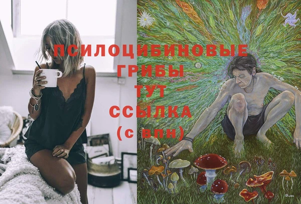 бошки Алексин