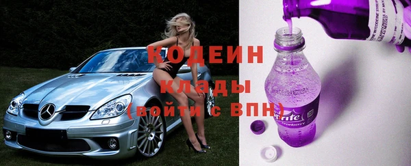 ECSTASY Алзамай
