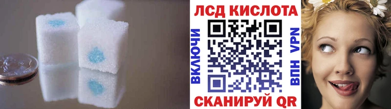 Лсд 25 экстази ecstasy  наркошоп  Александров 